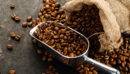 coffee exports