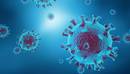 新型冠状病毒肺炎疫情数据资讯专题页面